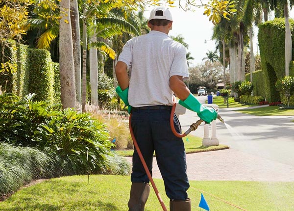 About Coon Valley WI Pest Control